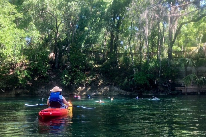 Wekiva River Guided Kayak Tour - Photo 1 of 6